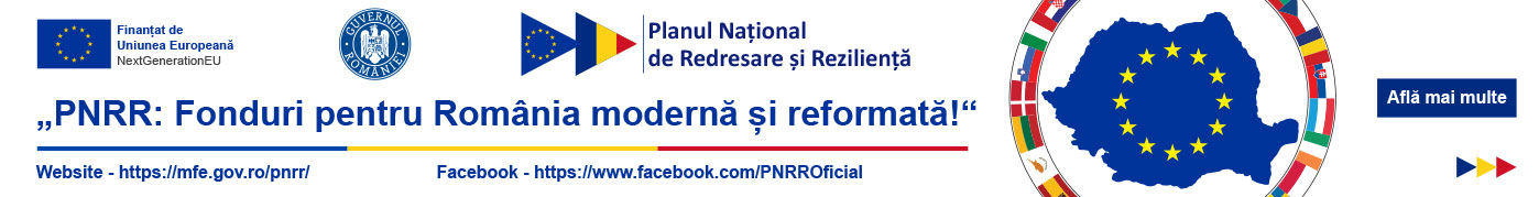 PLANUL NAȚIONAL DE REDRESARE ȘI REZILIENȚĂ